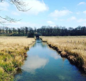 Parc_Abbaye_5